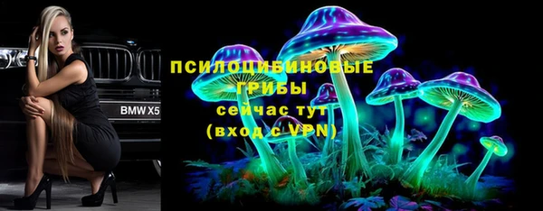 дмт Алексеевка