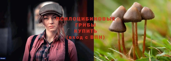 mix Алексин